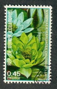 Equatorial Guinea Flower used CTO single