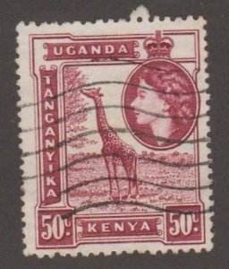 110 Giraffe and Queen - Kenya, Uganda, Tanzania