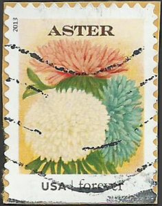 # 4762 USED ASTER