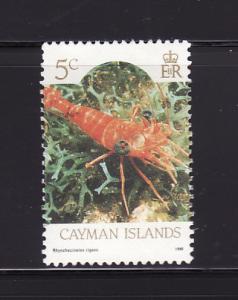 Cayman Islands 562 MNH Marine Life