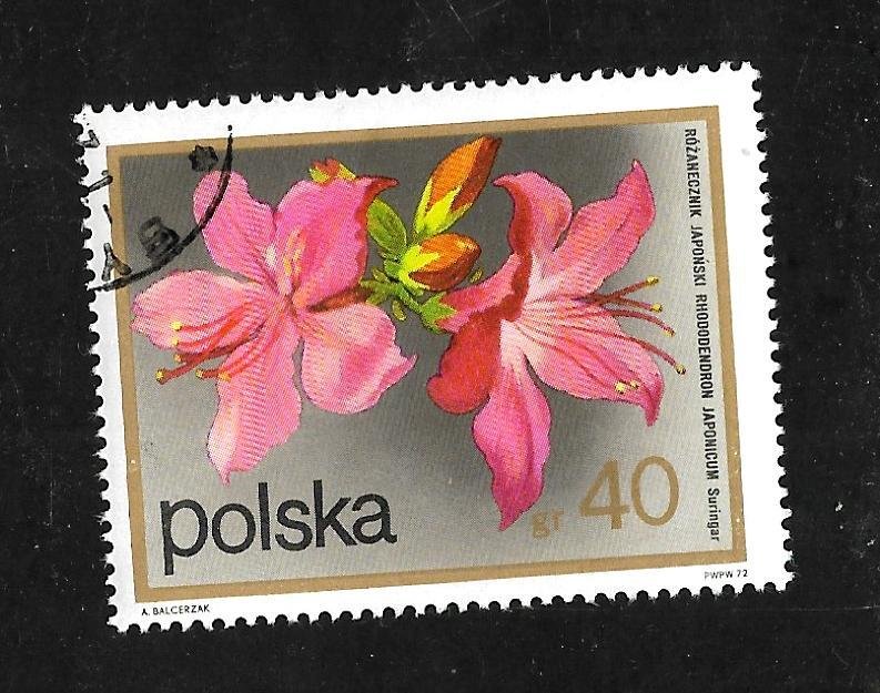 Poland 1972 - U - Scott #1935