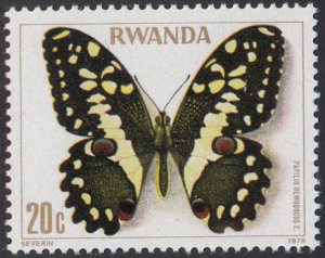 Rwanda 1979 MNH Sc #905 20c Papilio demodocus Butterflies