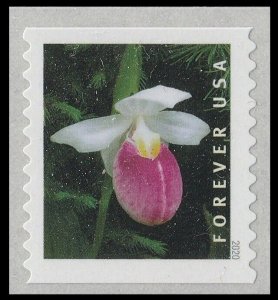 US 5442 Wild Orchids Cypripedium reginae F coil single MNH 2020