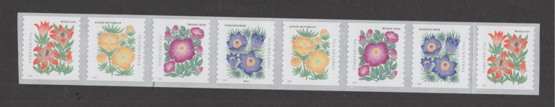 Scott# 5672-5675 unused MNH  Plate # P1111  (58 cent Mountain Flora)  Strip of 8