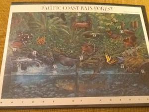 # 3378  Pacific Coast Rain Forest