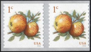 SC#5037 1¢ Apples Coil Pair (2016) SA