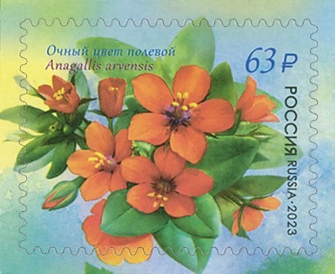 Postage stamps of Russia 2023 - Flora of Russia. Primroses