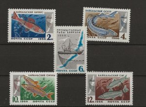 Russia 1966 Lake Baikal Fish sg.3332-6 set of 5   MNH