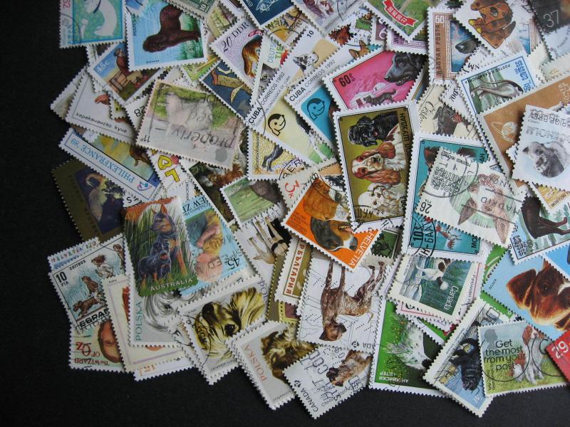 Topical hoard breakup 200 Dogs. Mixed condition, few duplicates