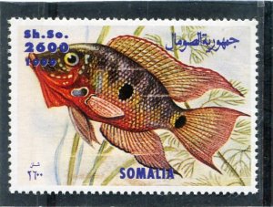 Somalia 1999 EXOTIC FISH 1 value Perforated Mint (NH)