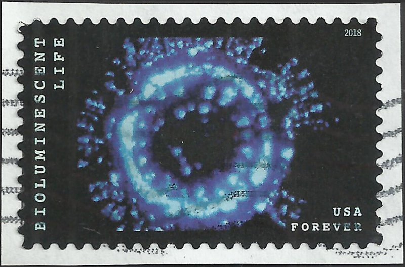 # 5265 Used Bioluminescent Life