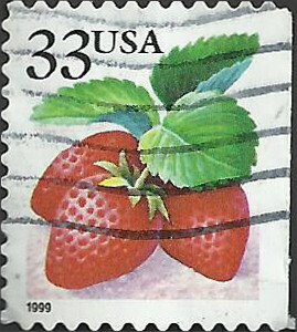 # 3296 USED STRAWBERRIES