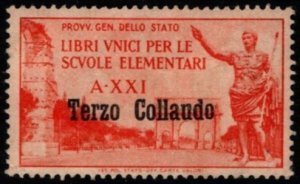 Vintage Italy Poster Stamp Third Test Unique Books for Elementary Schools Unused