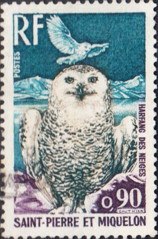 St. Pierre et Miquelon #428 Used