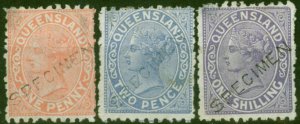 Queensland 1884 P. 9.5 x 12 Specimen Set of 3 SG176s-178s Good to Fine MM Scarce