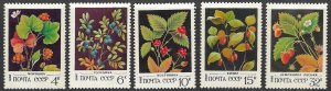 RUSSIA USSR 1982 Berry Plants Set Sc 5023-5027 MNH