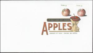 US 4732 Apples Northern Spy (coil) DCP FDC 2013