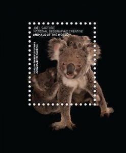 2017 S.Tome&Principe - Koala. Y&TCode: 1096  |  Scott Code: 3458