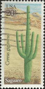 # 1945 USED SAGUARO