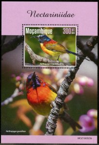 MOZAMBIQUE 2019 HUMMINGBIRDS  SOUVENIR SHEET MINT NEVER HINGED