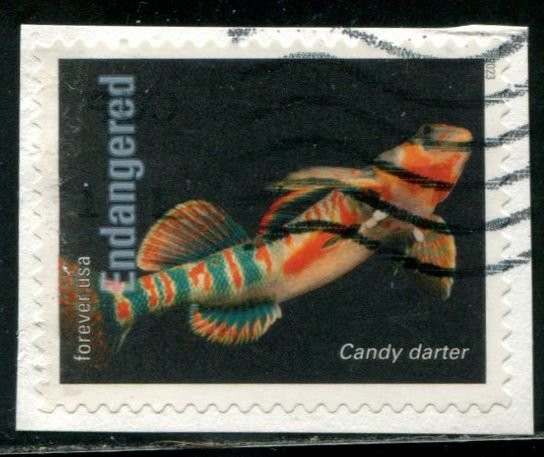 5799e US (63c) Endangered Species - Candy Darter SA, used on paper