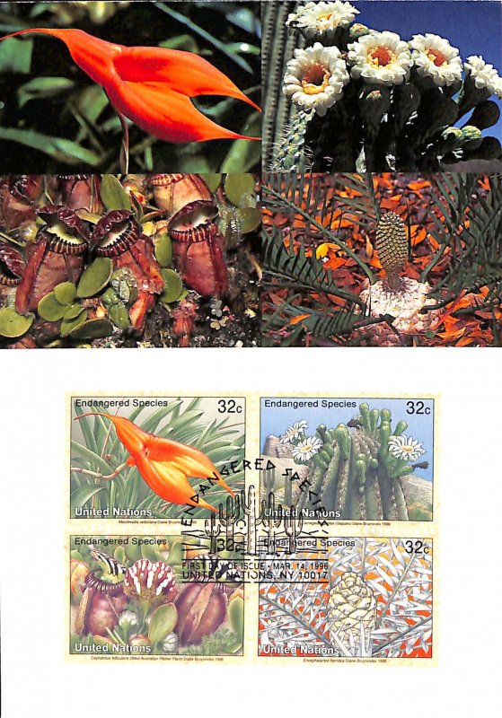 United Nations UN endangered species maximum card orchids flowers no. 38