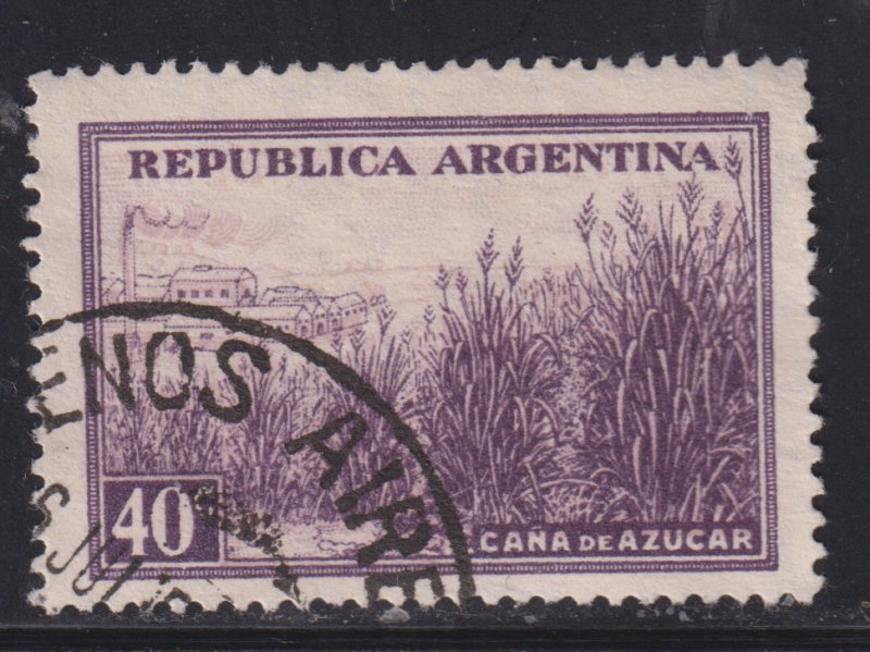 Argentina 443 Sugar Cane Plantation 1936