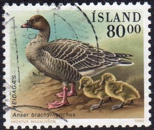 Iceland 687 - Used - 80k Pink-footed Goose (1990) (cv $1.60) (2)