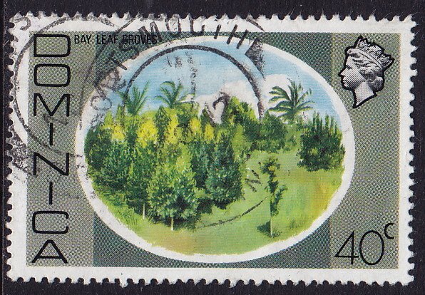 Dominica - 1975 - Scott #466 - used - Tree Bay Leaf Grove