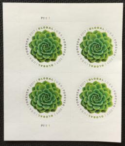 US #5198 MNH Plate Block of 4 Green Succulent (1.15c)