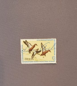 RW38, Cinnamon Teal, Used, CV $12.00