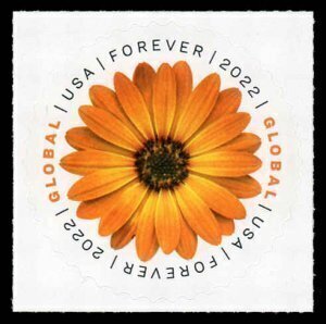 U.S.#5680 African Daisy $1.30 Global FE Single, MNH.