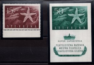 Trieste B - Mostra Koper Stella Marina n. 71 + BF - MNH