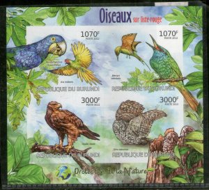 Burundi 2012 Owl Eagle Parrots Birds Wildlife Sc 1123 Imperf M/s MNH # 8116