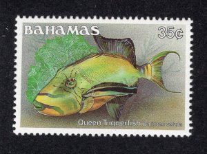 Bahamas 1986 35c Fish, Scott 610 MNH, value = $1.75