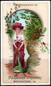 1880 Victorian Trade Card Compliments of Farmer's Friend Mechanicsburg, PA