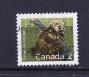 Scott #  1156  used  single  perf 13.1x13.6