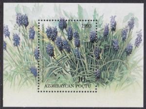 Azerbaijan 1993 SG MS111 HM