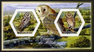 Chad 2014 Owls #2 imperf sheetlet containing two hexagona...