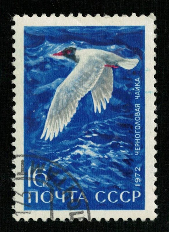 1972, Bird, USSR, 16kop (TS-218)