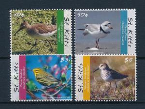 [52932] St. Kitts 2010 Birds Vögel Oiseaux Ucelli  MNH