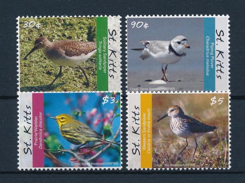 [52932] St. Kitts 2010 Birds Vögel Oiseaux Ucelli  MNH