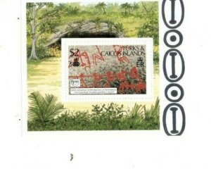 Turks and Caicos - 1989 - Columbus - Souvenir Sheet - MNH (Scott#774)