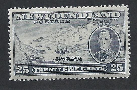 CANADA - NEWFOUNDLAND SC# 242b VF MNH 1937