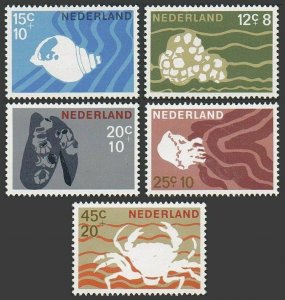 Netherlands B419-B423,MNH.Michel 873-877. Marine life 1967. Whelk, Shells, Crab,