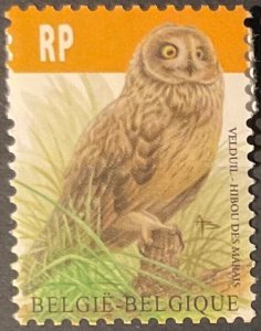 BELGIUM 2012. Bird - Country Owl. Facial RP. NHM-