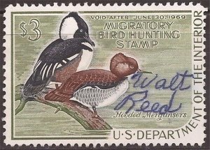 US Stamp - 1968 Hooded Merganser Ducks -  Signed #RW35