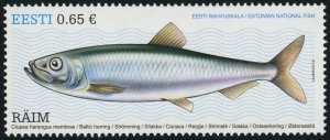 Estonia #836 Baltic Herring Fish 0.65€ Postage Stamp 2017 Eesti Mint LH