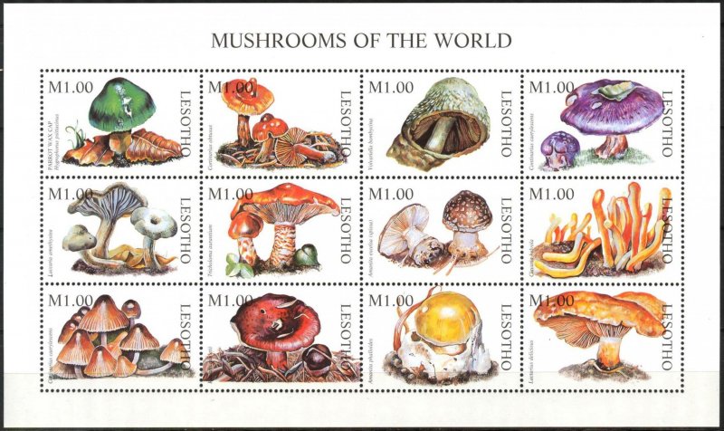 Lesotho 1998 Mushrooms Sheet MNH