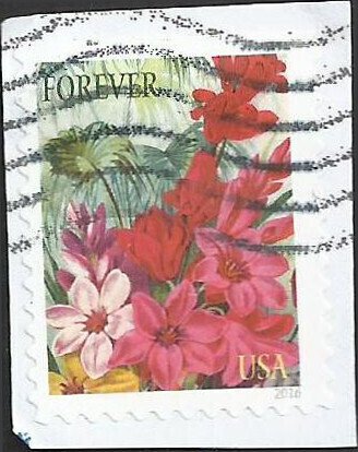 # 5042 Used Botanical Art Corn Lilies